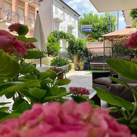 In Guest - New Cirene Triple Economy